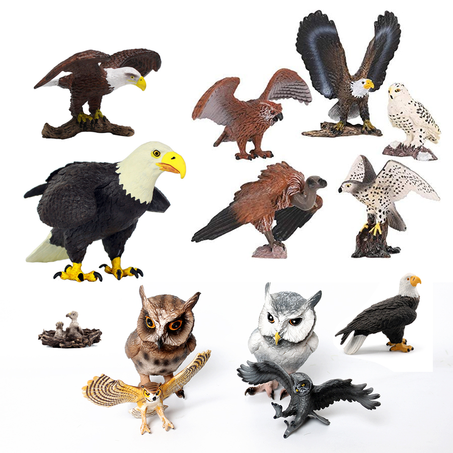 Kids Education Shows - Figurine realistiche di uccelli di preia