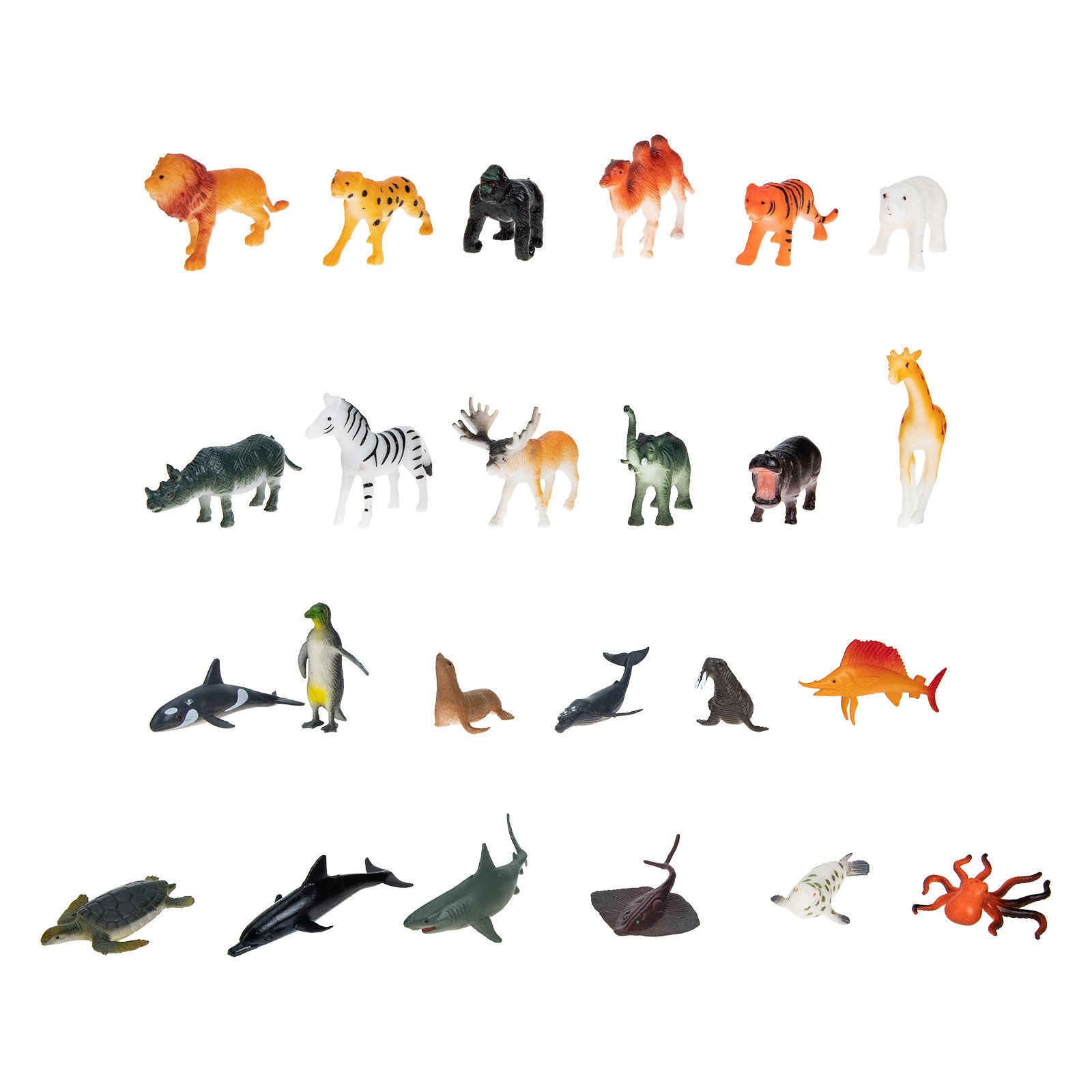 Kids Early Education Photos - Set di 24 Animali Marini in
