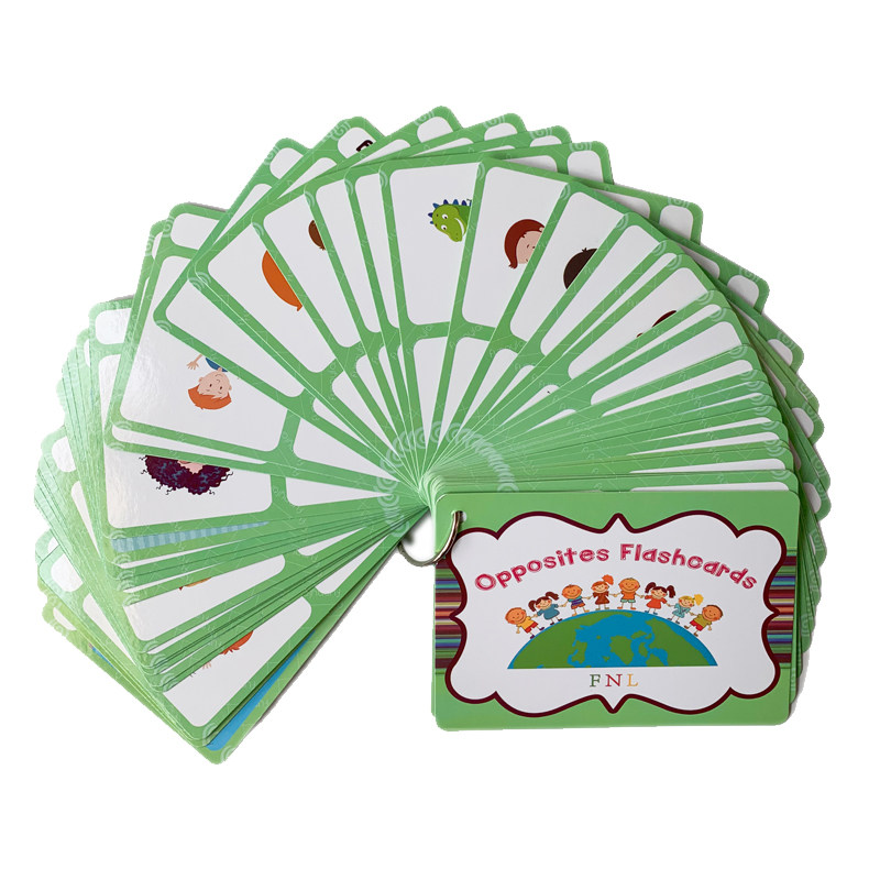100 Gruppi di Carte Flash con  - Kid Educational recensione e prezzo