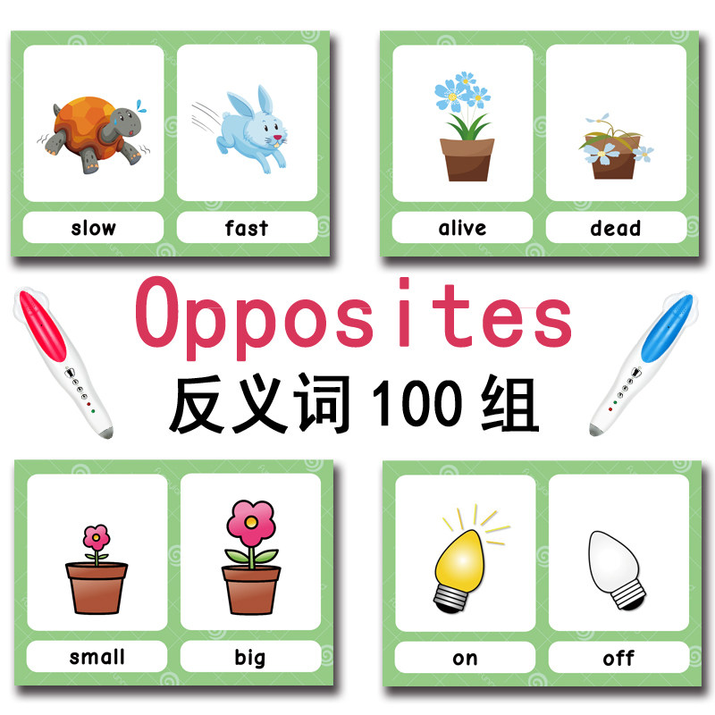 100 Gruppi di Carte Flash con  - Kid Educational recensione e prezzo