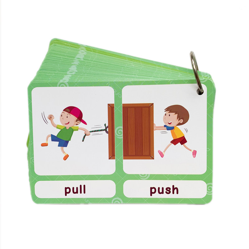 100 Gruppi di Carte Flash con  - Kid Educational recensione e prezzo