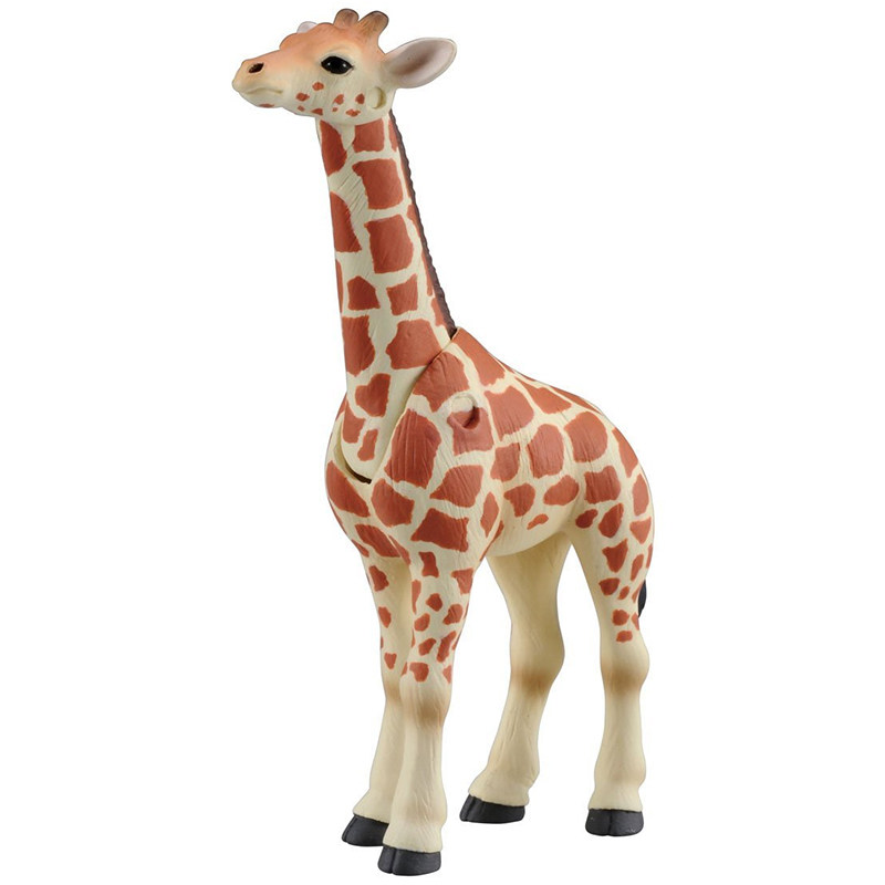Originale Takara Tomy Ania Gir - Kids Education Yes recensione e prezzo