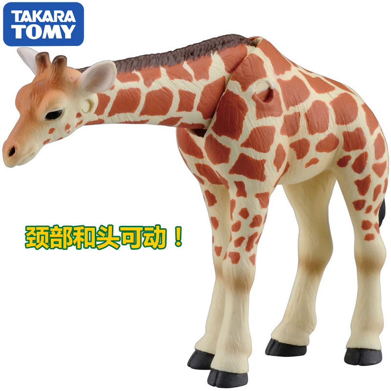 Originale Takara Tomy Ania Gir - Kids Education Yes recensione e prezzo