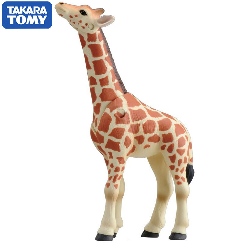 Originale Takara Tomy Ania Gir - Kids Education Yes recensione e prezzo
