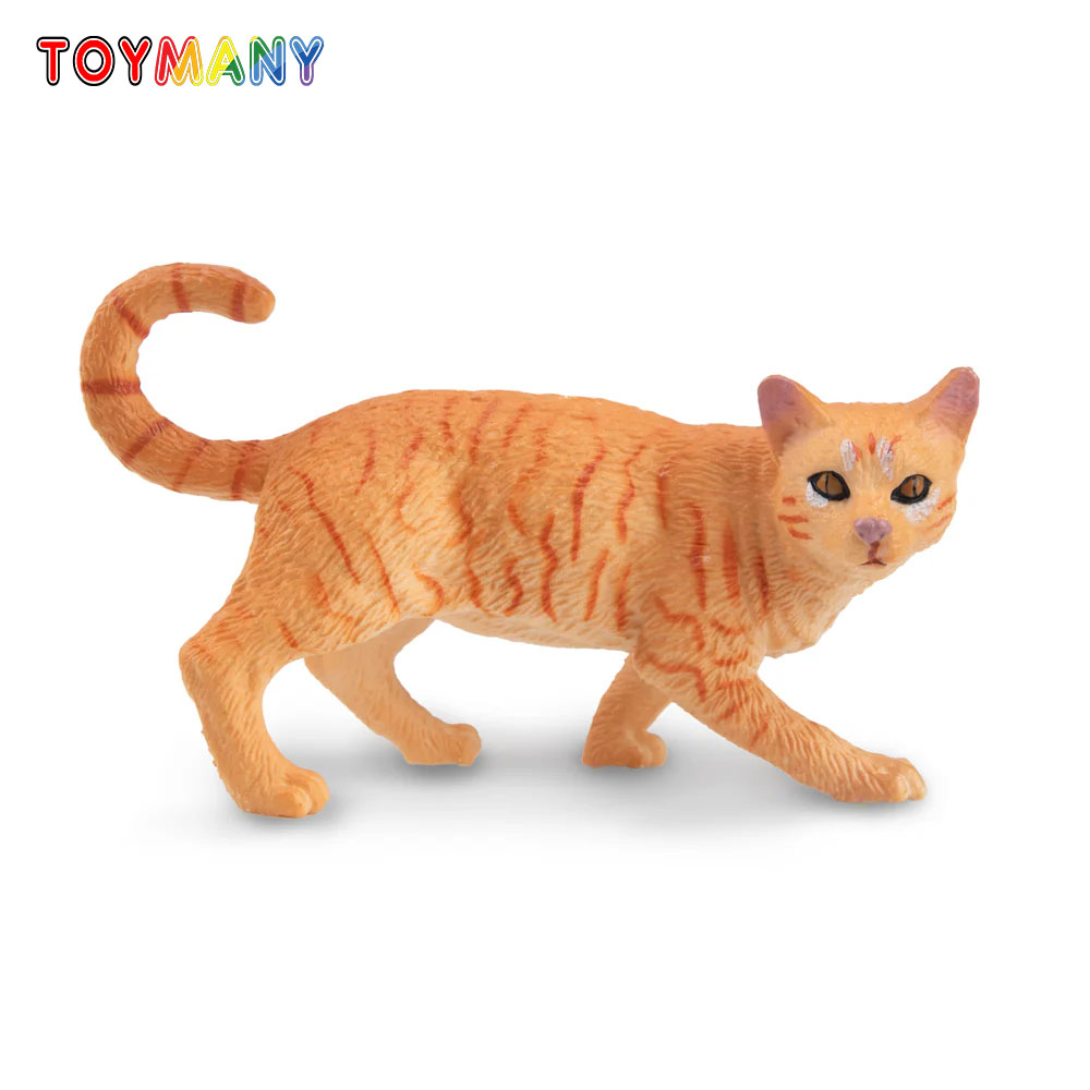 Toymany Simulazione Striding A - Kids Education Yes recensione e prezzo