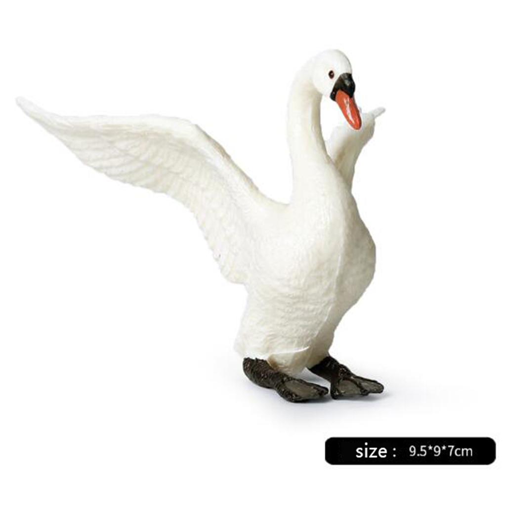 Statuette di Cigni Realistiche - Kids Education Shows recensione e prezzo